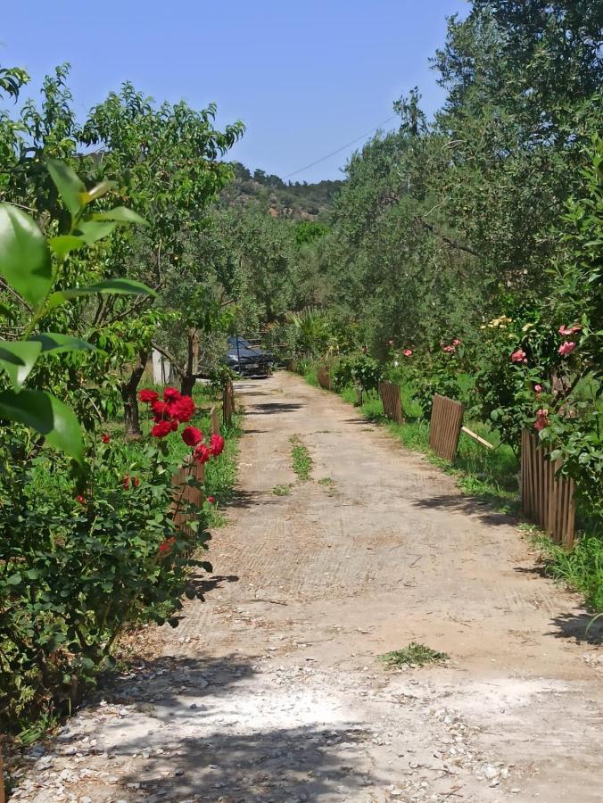 Sol'S Place Mytilene Luaran gambar