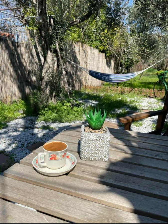 Sol'S Place Mytilene Luaran gambar